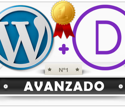 Curso de Divi - AVANZADO -